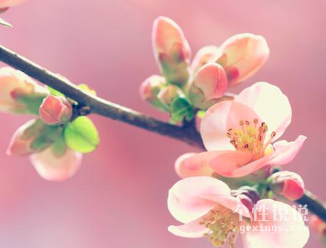 清明节写给奶奶祝福语 清明节鞠躬说说