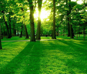 2021年最流行的网名--劫持野凯子